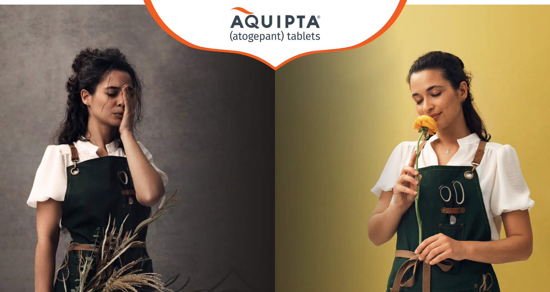 Aquipta banner