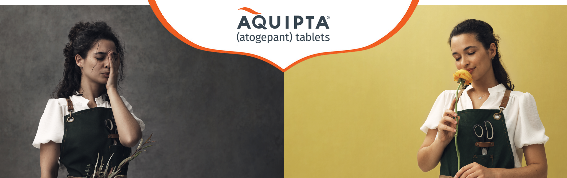 Aquipta banner